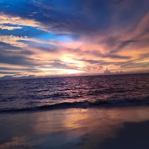 https://neela-waters-beach-homestay.kerala-hotels.net